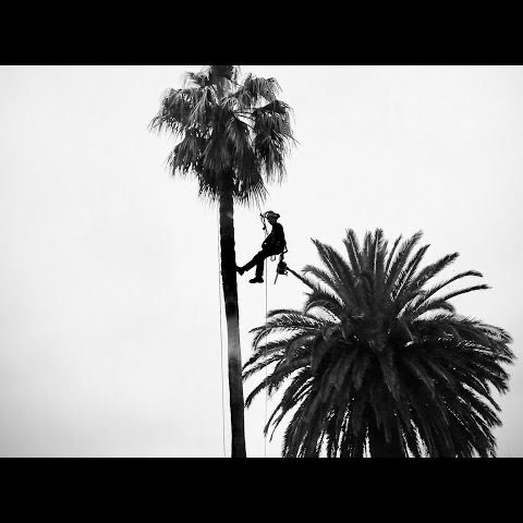 IMG_0272 IMG_0272