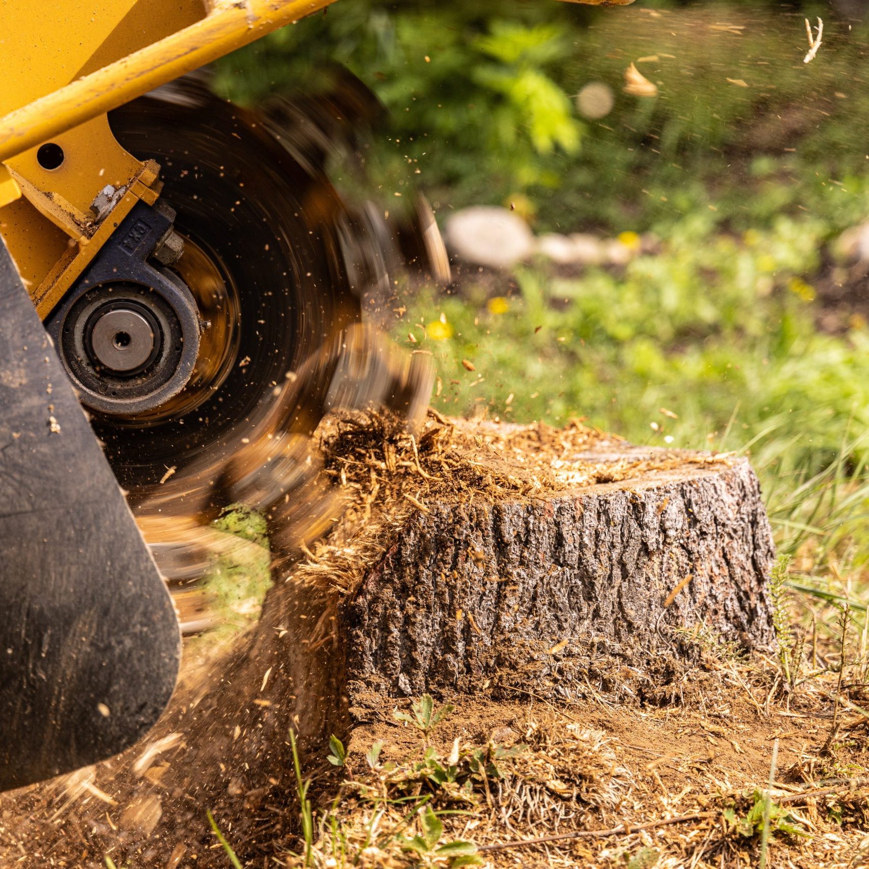 Stump,Grinder,Machine,Is,Grinding,A,Tree,Stump,In,A Stump,Grinder,Machine,Is,Grinding,A,Tree,Stump,In,A